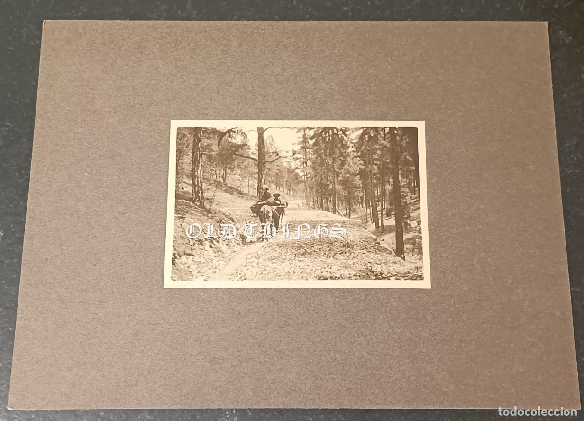 Postales: FOTOGRAFIA POSIBLEMENTE DEL FELIX MONTEVERDE, Fotógrafo e Ingeniero de Montes, CAMPESINOS EN BURRO A