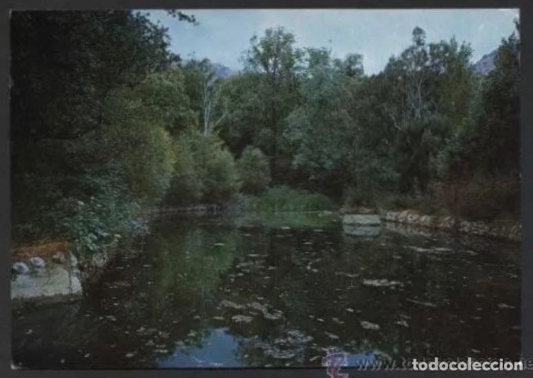 Postales: Fabrica de Riopar. *Charco de las Truchas* Ed. Artfi n&ordm; 103. Circulada.