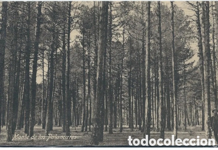 Postales: CUENCA - MONTE DE LOS PALANCARES - EDICI&Oacute;N GARAY - Foto 1