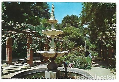 Postales: PARQUE.- ALBACETE.... - Foto 1