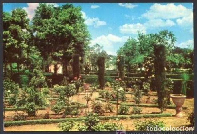 Postkarten: Tomelloso. *Rosaleda del Nuevo Parque* Ed. Eugenio Serrano n&ordm; 4. Circulada Tomelloso 1964.