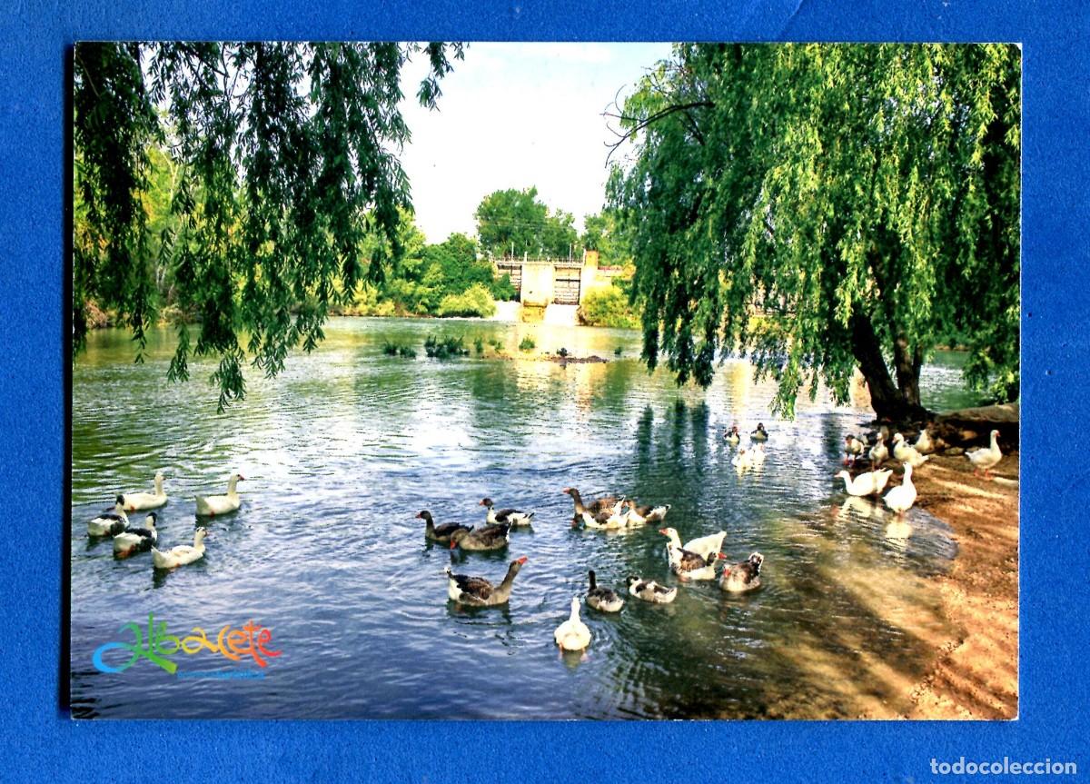 Postales: POSTAL SIN CIRCULAR ALBACETE EDITA TURISMO