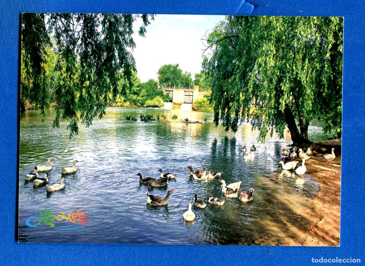 Postales: POSTAL SIN CIRCULAR ALBACETE EDITA TURISMO