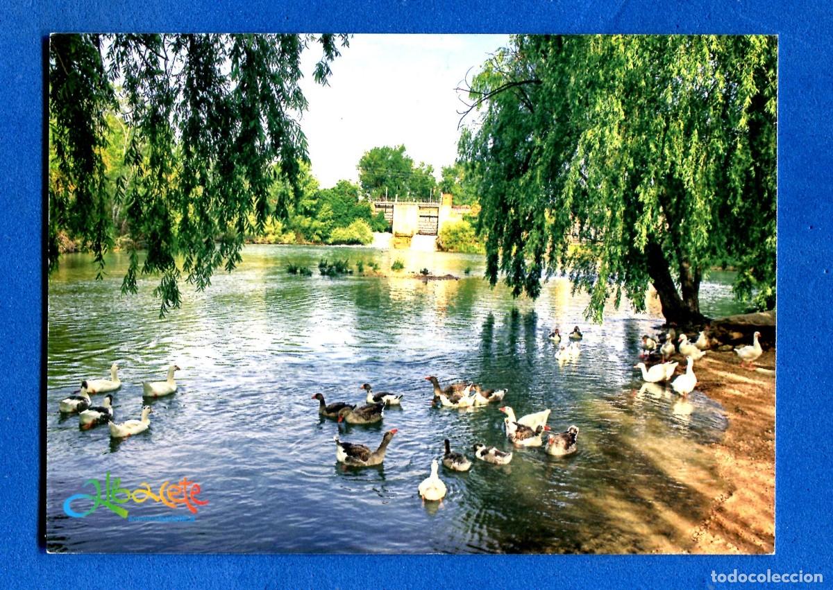 Postales: POSTAL SIN CIRCULAR ALBACETE EDITA TURISMO