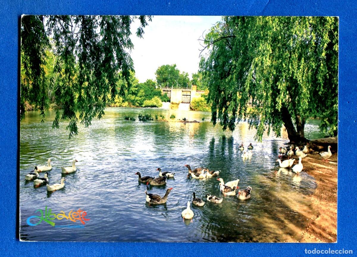 Postales: POSTAL SIN CIRCULAR ALBACETE EDITA TURISMO