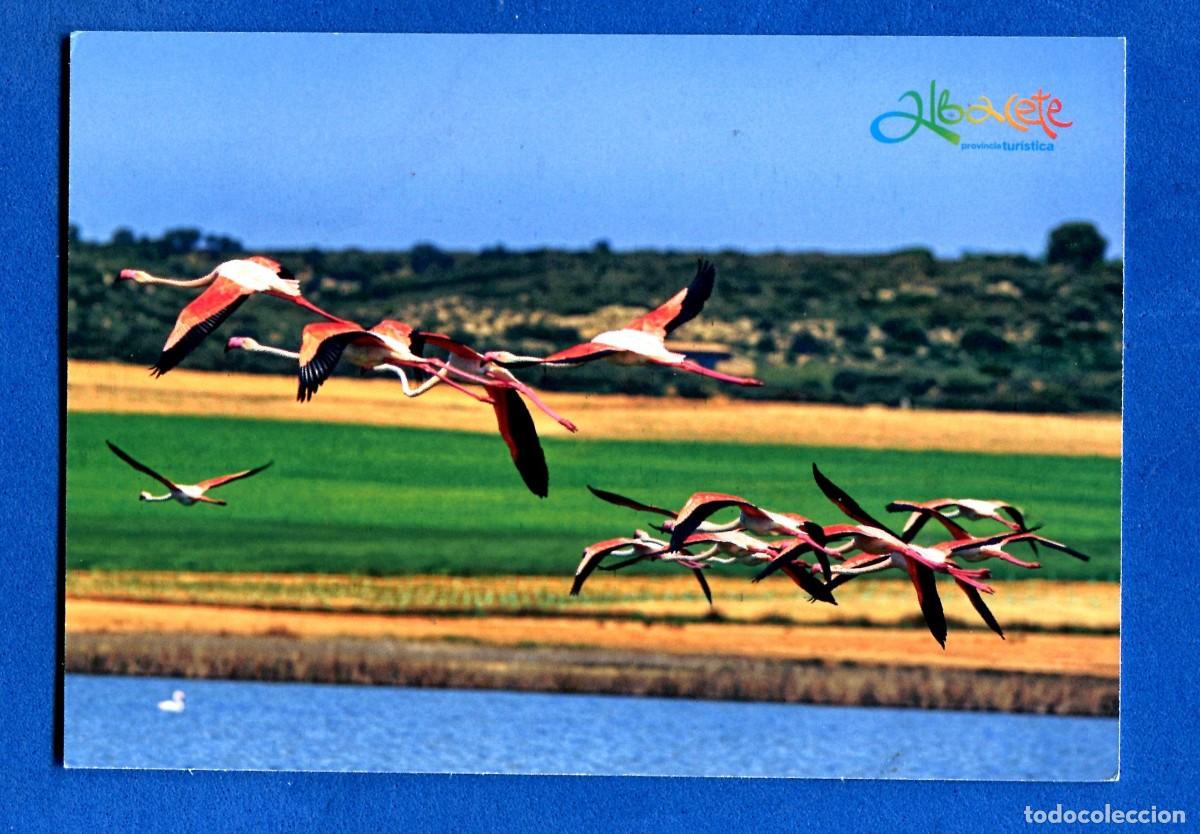 Postales: POSTAL SIN CIRCULAR ALBACETE EDITA TURISMO