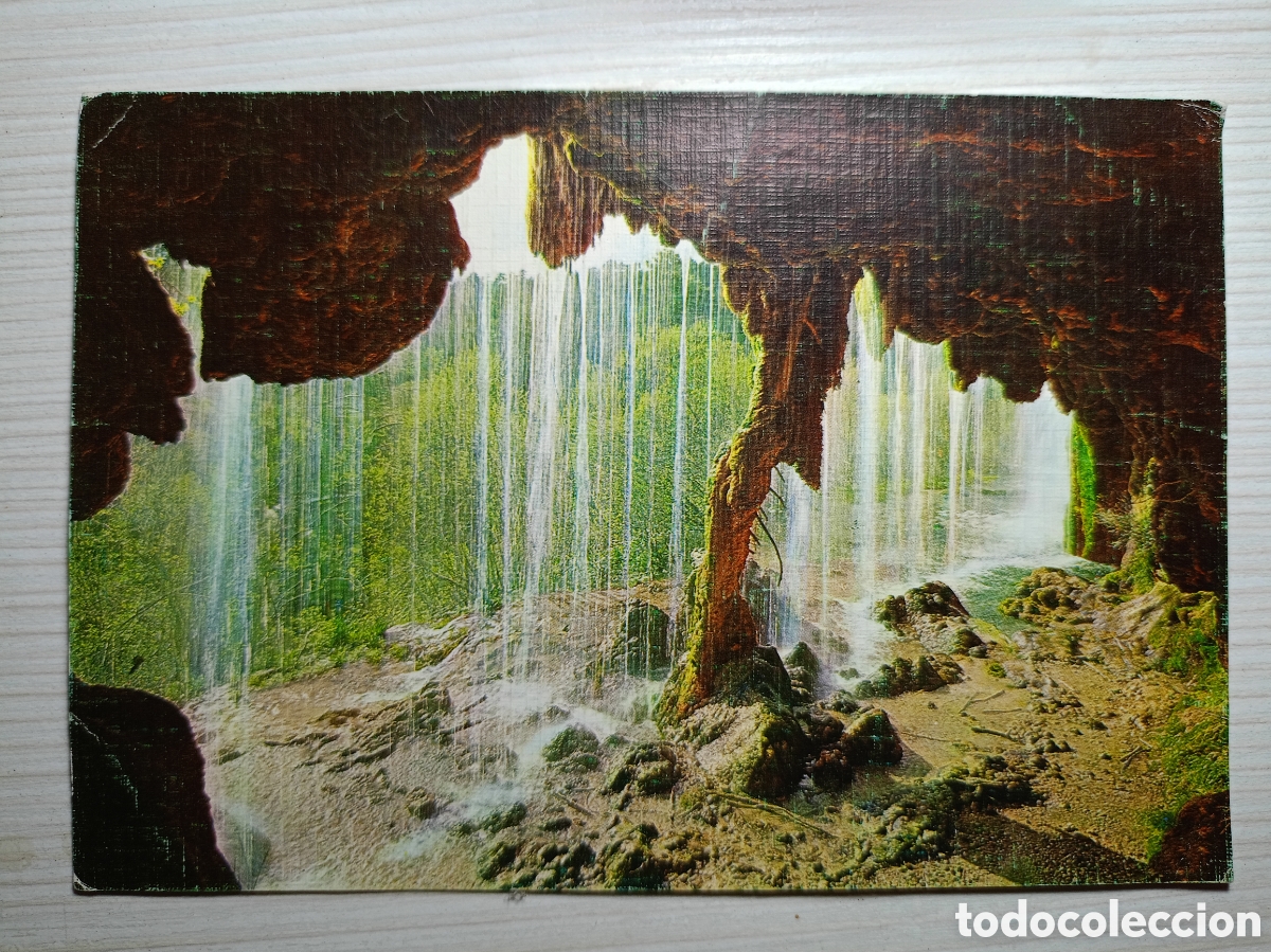 Postales: Cuenca nacimiento del r&iacute;o Cuervo y &aacute;rbol f&oacute;sil