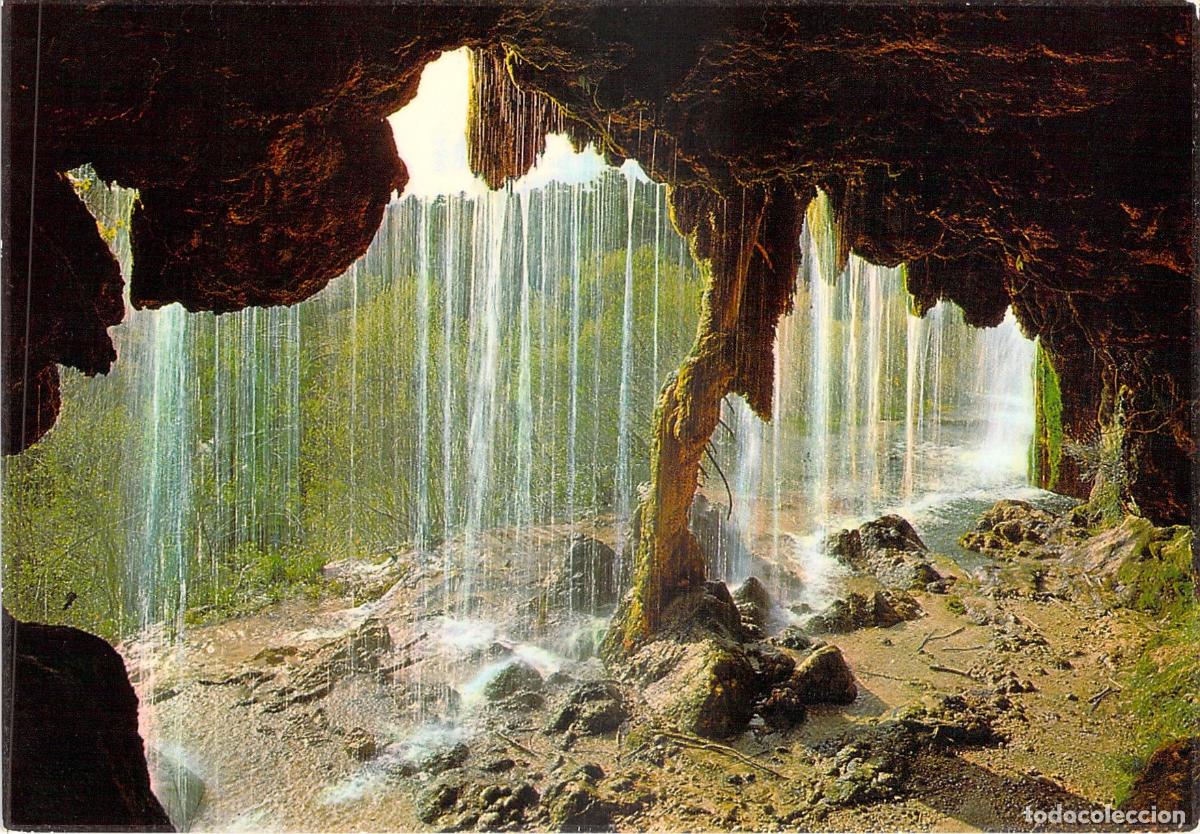 Postales: Postal Nacimiento del R&iacute;o Cuervo y &Aacute;rbol F&oacute;sil, Cuenca