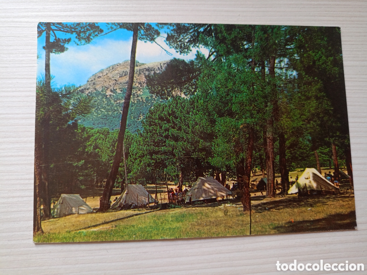 Postales: RIOPAR ( ALBACETE ) CAMPAMENTO SAN JUAN a&ntilde;os 60