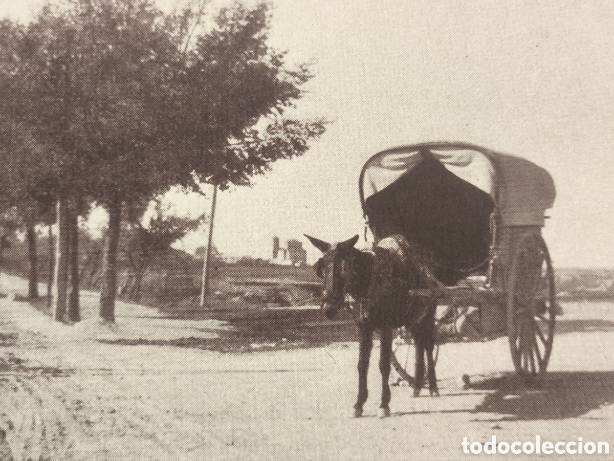 Postales: SAELICES PAISAJE TARTANA POSTAL FOTOGRAF&Iacute;A PRINCESA PILAR CUENCA C. 1915