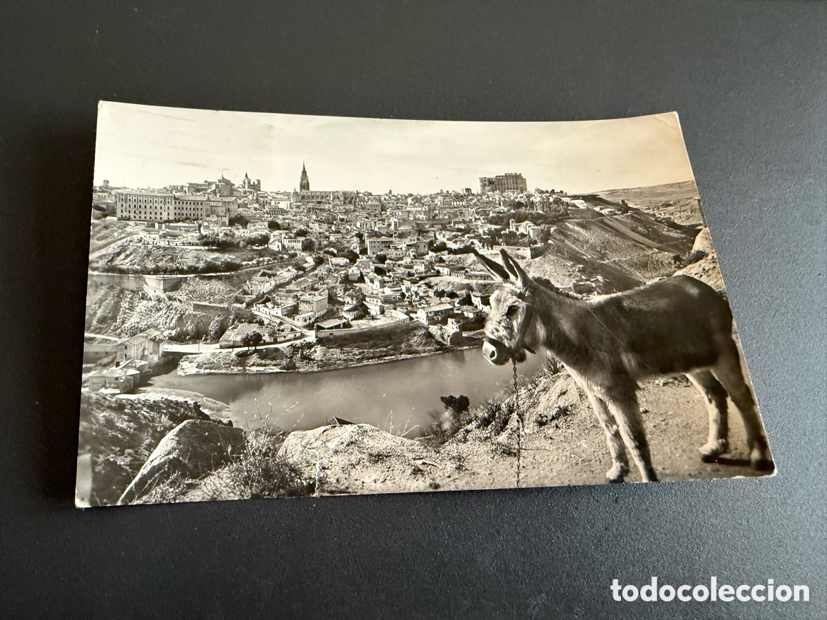 Postales: Postal. TOLEDO. Vista Parcial y R&iacute;o Tajo