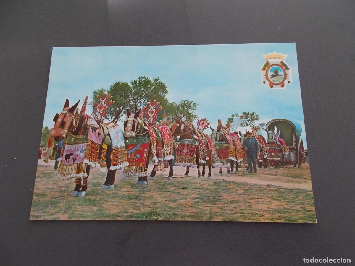 Postales: TOMELLOSO --CIUDAD REAL -- REATA ENJAEZADA