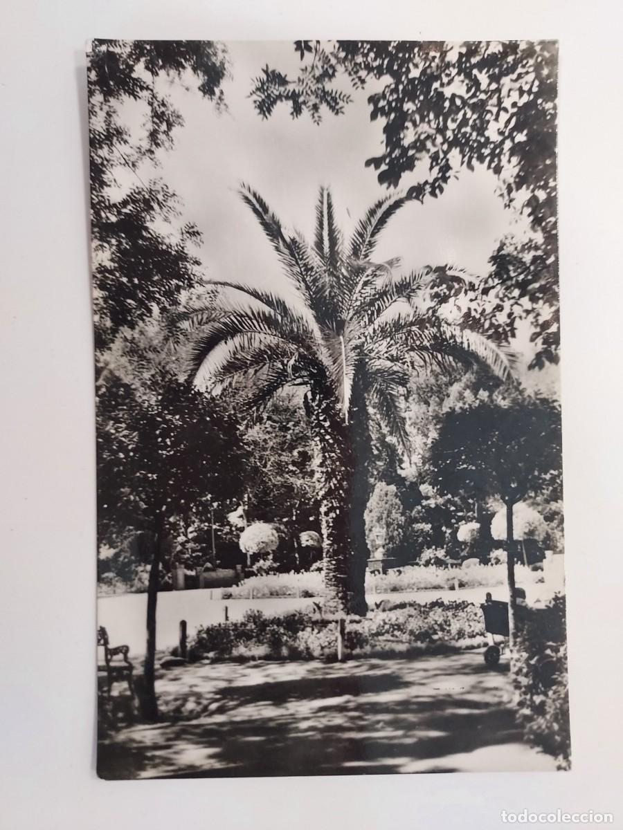 Postales: POSTAL CIUDAD REAL PARQUE GASSET UN RINCON. 1958. SIN CIRCULAR. FOTO SALAS