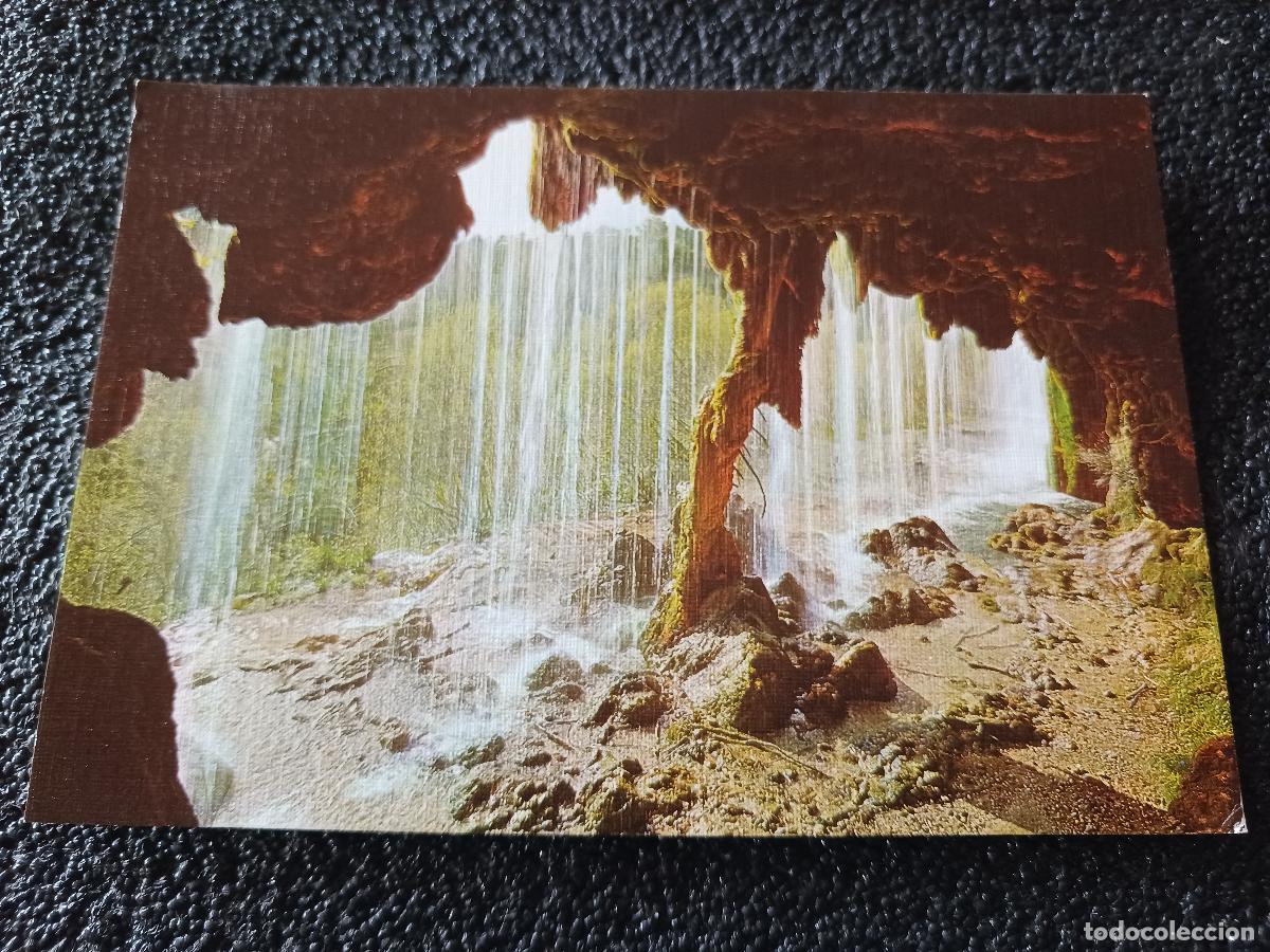Postales: 48 Cuenca Nacimiento rio Cuervo y arbol fosil (sin circular) ed. sicilia