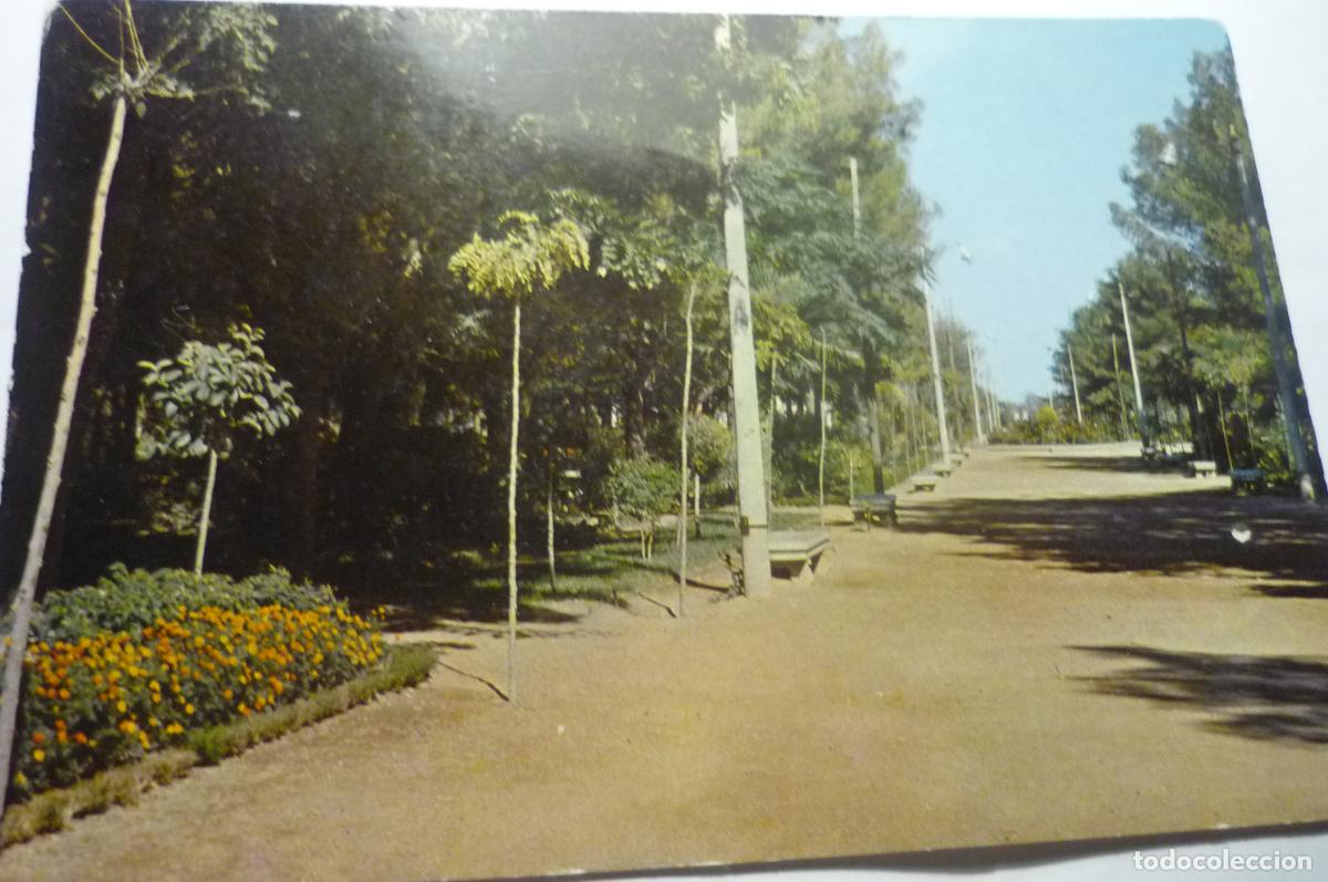 Postales: postal ciudad real.-parque municipal