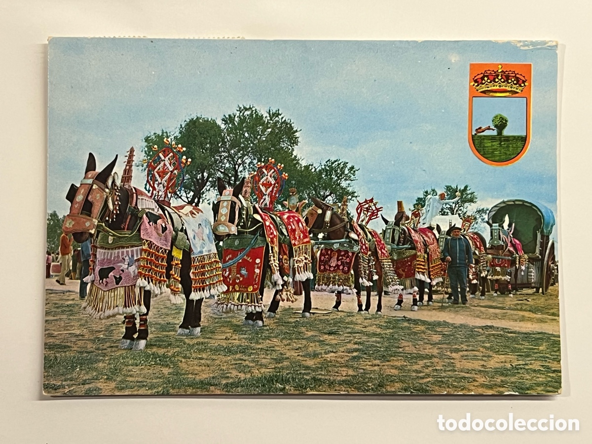 Postales: TOMELLOSO (Ciudad Real) Postal animada No.39, Reata Enjaezada. Eugenio Serrano (a.2003)