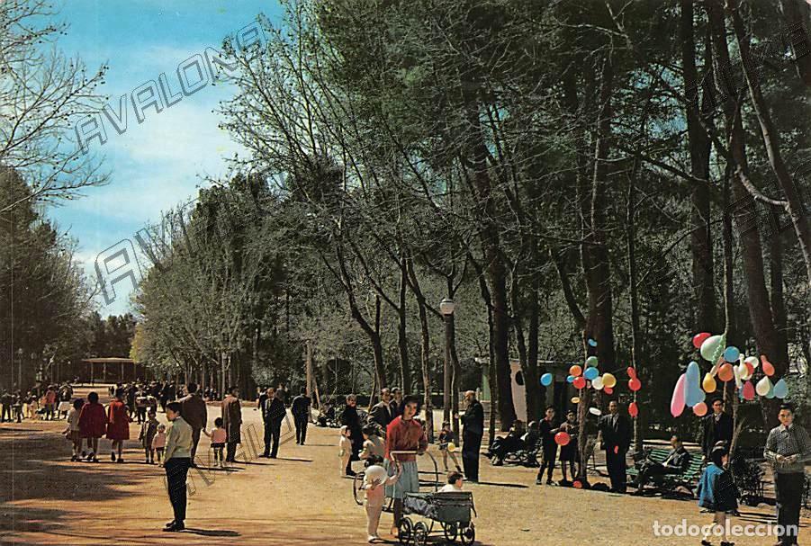 Postales: Parque de los M&aacute;rtires (Albacete) - Sin Circular, a&ntilde;os 60