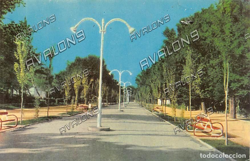 Postales: Entrada al Parque Gasset (Ciudad Real) - Sin Circular - 1963