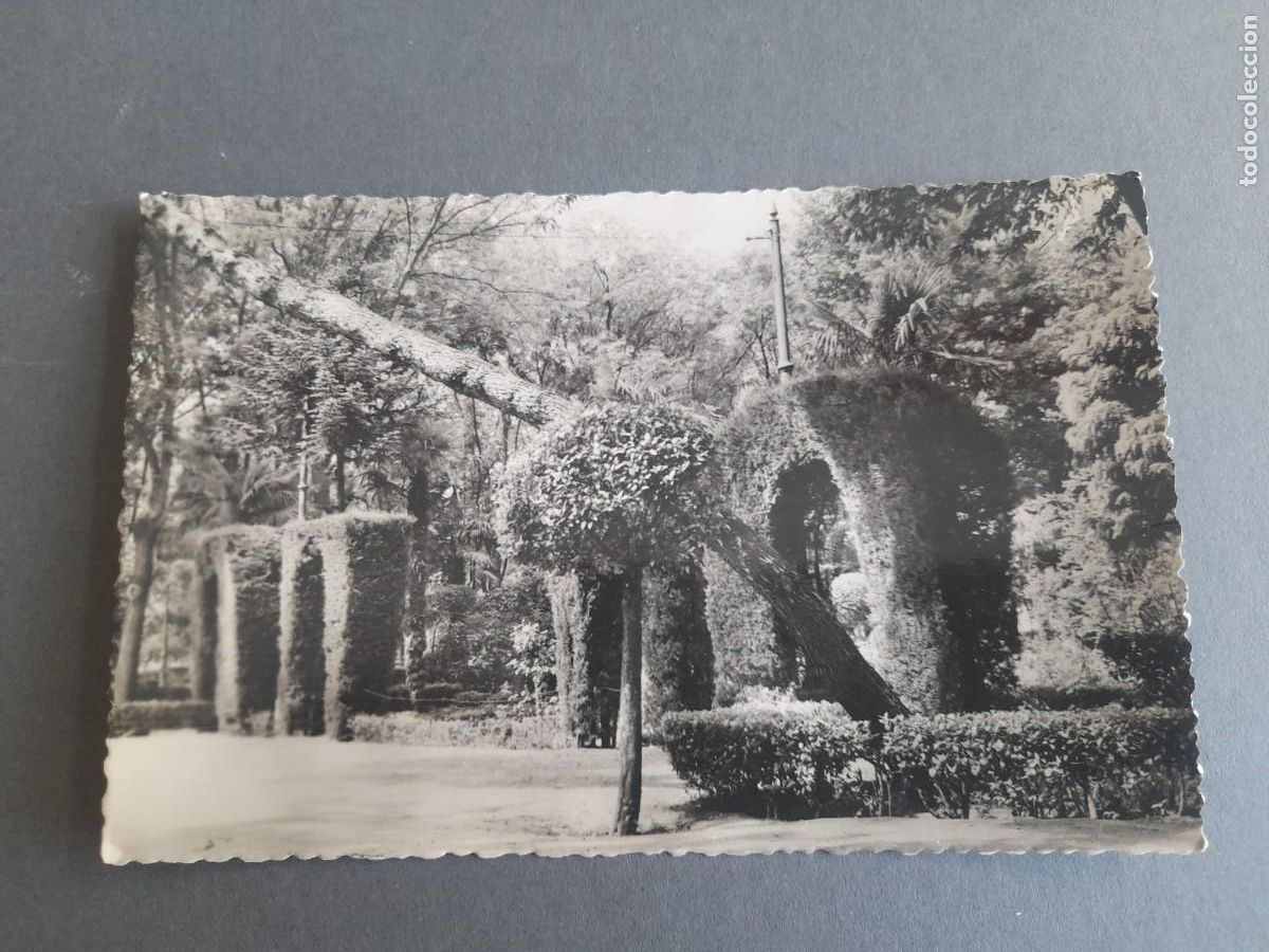 Postales: Postal de ciudad real -27- parque gasset: rosaleda (la entrada), salas a&ntilde;os 50 aprox