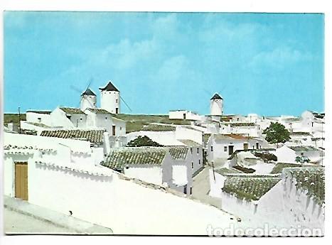 Postales: VISTA PARCIAL - PARTIAL VIEW.- CAMPO DE CRIPTANA / CIUDAD REAL