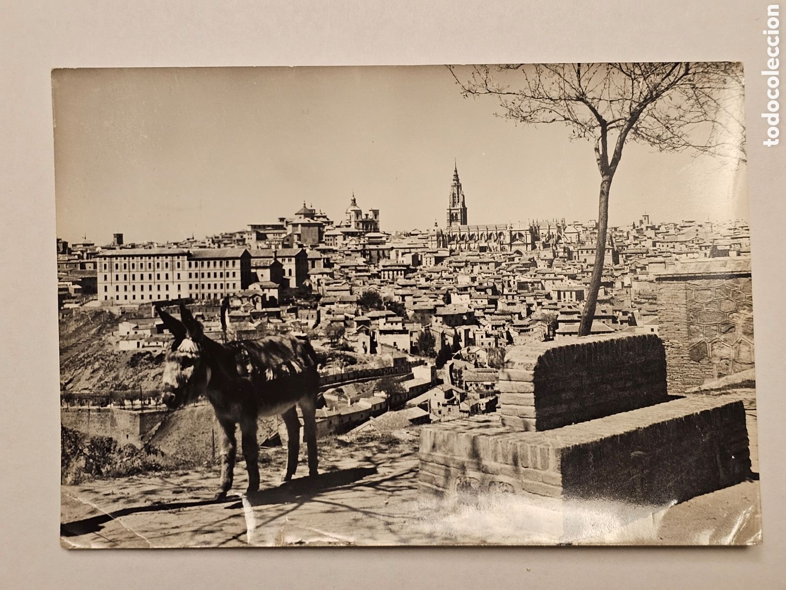 Postcards: Postal con vista de Toledo y burro en primer plano,blanco y negro, circa 1960, circulada.