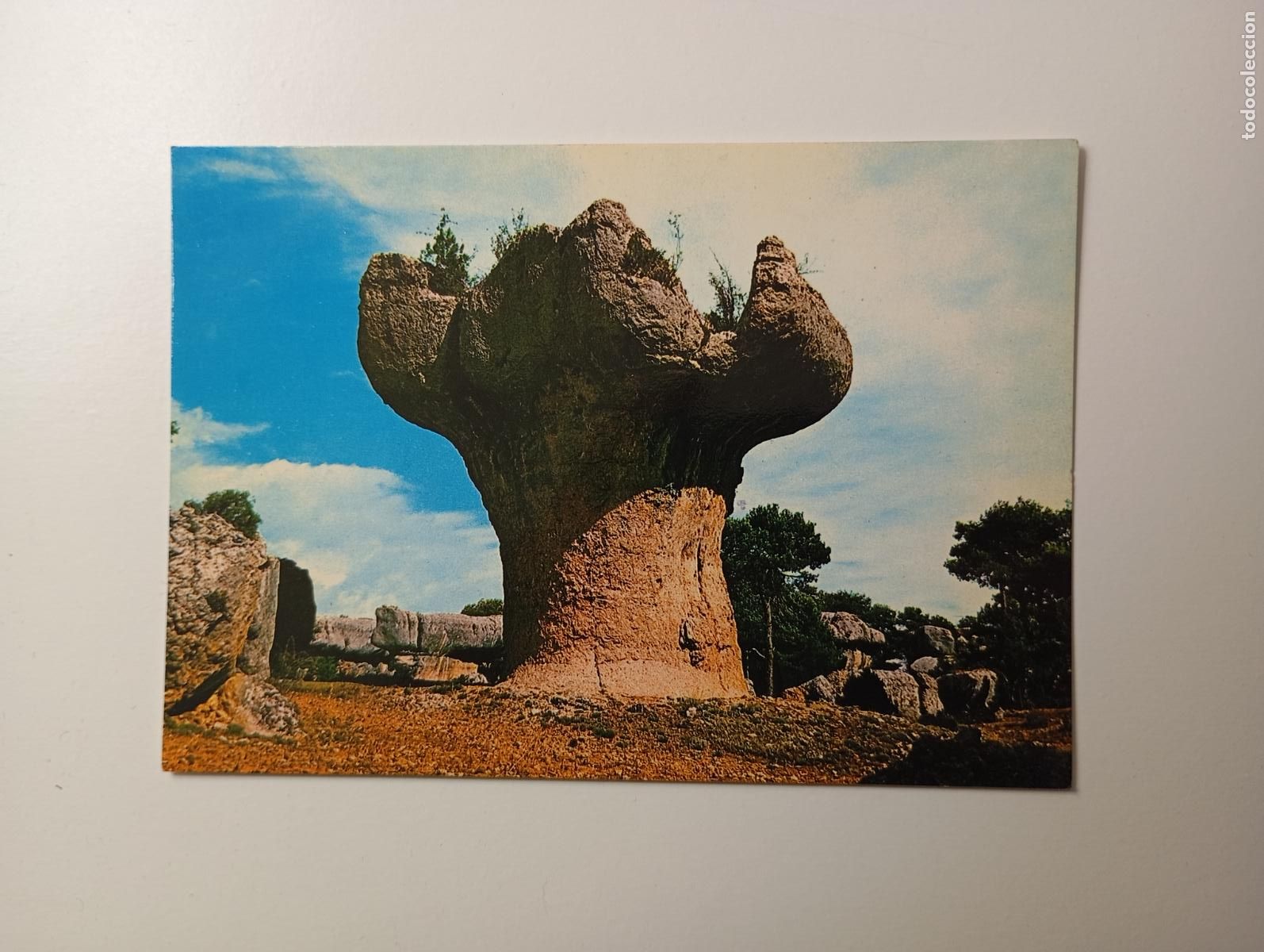 Postales: POSTAL DE CUENCA. EL FRUTERO. TDKP30N