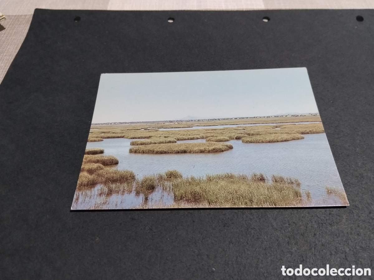 Postales: Postal parque nacional Tablas de Daimiel