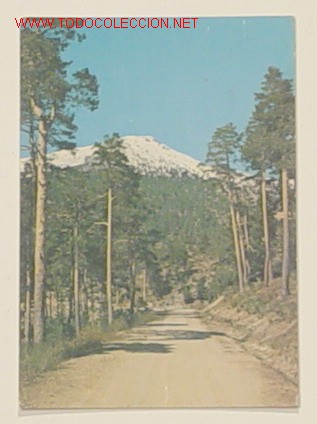 Postales: 20-EL ESPINAR SEGOVIA-CARRETERA DE LA GARGANTA.Circulada.