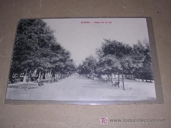 Postales: BURGOS , PASEO DE LA ISLA - Foto 1
