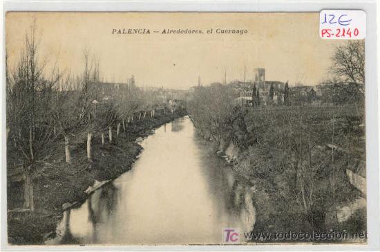 Postales: (PS-2140)POSTAL DE PALENCIA-ALREDEDORES,EL CUERNAGO.