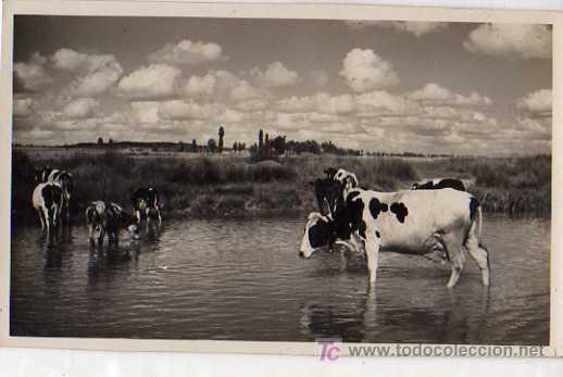 Postales: MIRANDA DE EBRO ? - Foto 1
