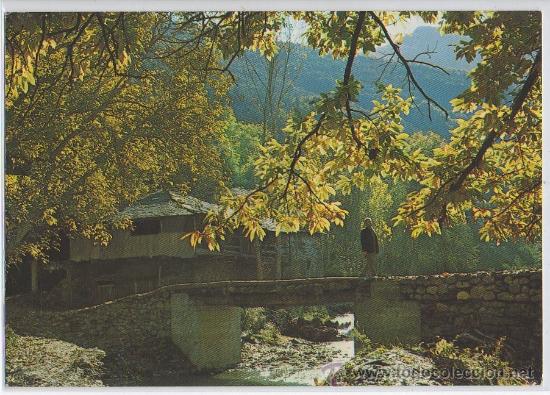 Postales: TARJETA POSTAL DE PAISAJE DEL BIERZO LEON