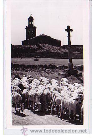 Postales: OLMILLOS DE SESAMON (BURGOS) - Foto 1