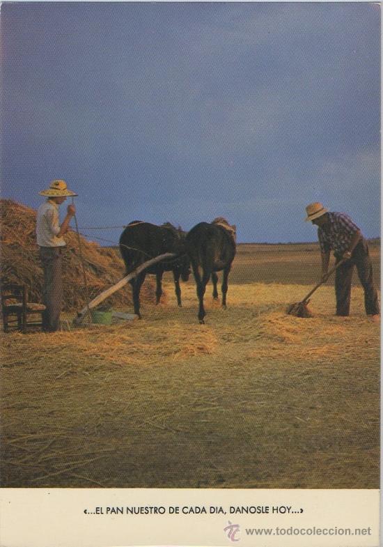 Postales: TARJETA POSTAL CAMPOS DE ZAMORA SERIE LUZ N&ordm;1