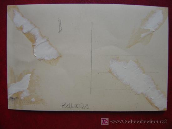 Postales: ZAMORA - Foto 2