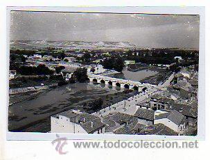 Postales: Palencia.n&ordm; 1. Puente Mayor sobre el Rio Carri&oacute;n. Vista parcila.  Ediciones Artigot. Sin circular.