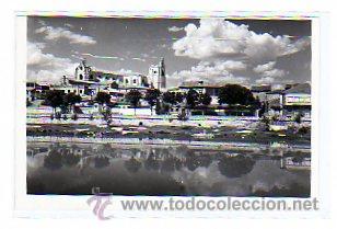 Postales: Palencia.n&ordm; 19. La Catedral desde la orilla del  Rio Carri&oacute;n. Ediciones Artigot. Sin circular.