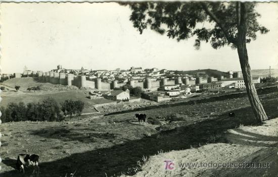 Postales: POSTAL AVILA VISTA GENERAL