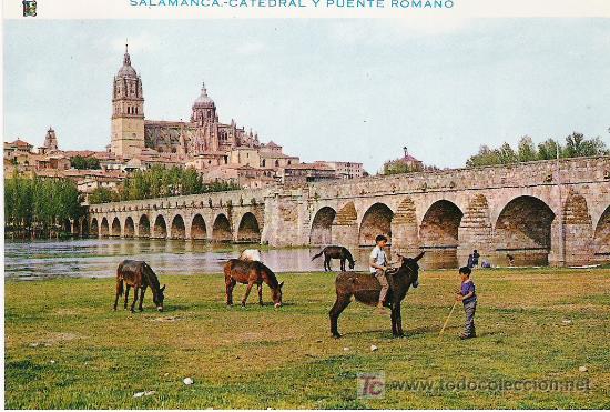 Postales: SALAMANCA - Foto 1