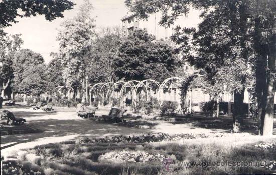 Postales: PALENCIA.-ROSALEDA PASEO DEL SAL&Oacute;N