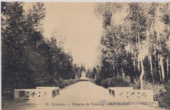Postales: ZAMORA.-BOSQUE DE VALORIO,PASEO CENTRAL