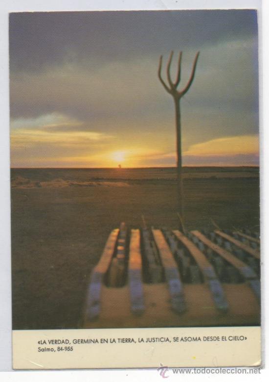 Postales: TARJETA POSTAL CAMPOS DE ZAMORA&rdquo;LA  VERDAD, GERMINA EN LA TIERRA&rdquo; SERIE LUZ