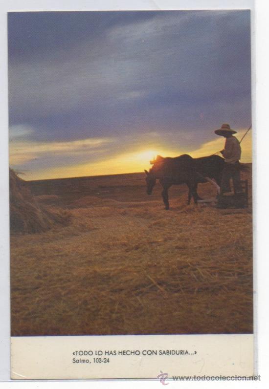 Postales: TARJETA POSTAL CAMPOS DE ZAMORA&rdquo;TODO LO HAS HECHO CON SABIDURIA&rdquo; SERIE LUZ