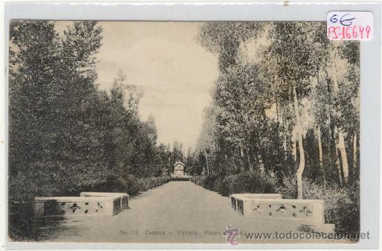 Postales: (PS-16649)POSTAL DE ZAMORA-VALORIO.PASEO CENTRAL