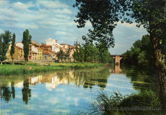 Postales: POSTAL SIN CIRCULAR DE ARANDA DE DUERO,BURGOS.PAISAJE DEL RIO DUERO.