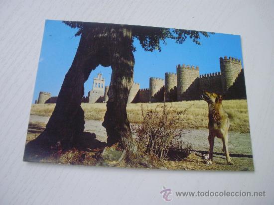 Postales: AVILA - TARJETA PUBLICITARIA DE CONFITERIA ISELMA