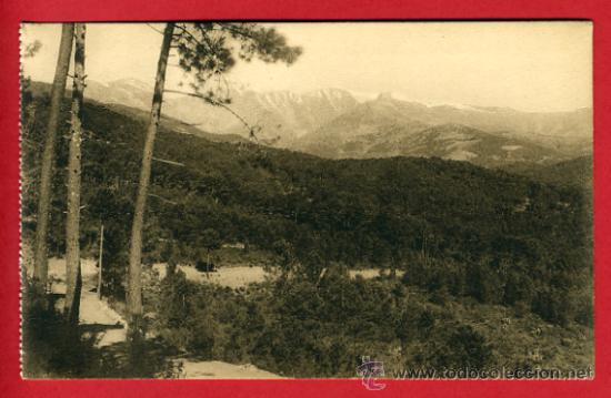 Postales: arenas de san pedro, avila, sierra de gredos, camino de arenas a candelada,     P42683