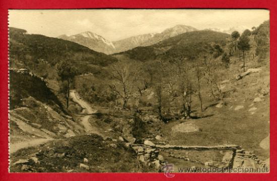 Postales: arenas de san pedro, avila, sierra de gredos, camino de arenas a guisando,     P42684