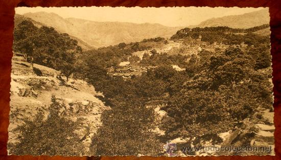 Postales: ANTIGUA POSTAL DE LA SIERRA DE GRADOS - AVILA - EL HORNOLLO - NO CIRCULADA.