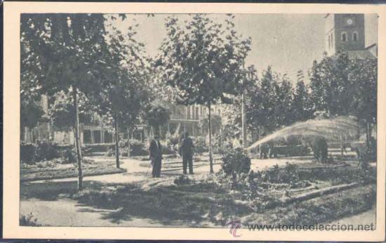 Postales: MEDINA DEL CAMPO (VALLADOLID).- JARDINES DE LA PLAZA MAYOR